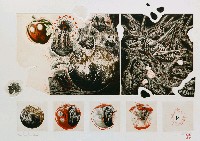 藏品(失落的天堂)的圖片