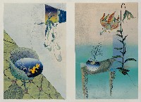 藏品(家。自然圈系列)的圖片