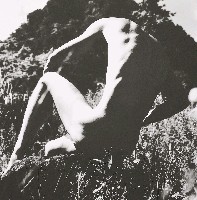 藏品(「在與不在」系列-新竹五指山1962)的圖片