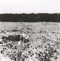 藏品(「在與不在」系列-澎湖鼎灣1965)的圖片