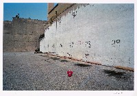 藏品(「台灣新郎」系列-9)的圖片