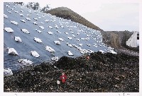 藏品(「台灣新郎」系列-15)的圖片