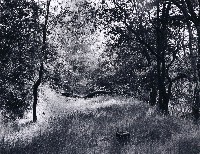 藏品(「覓金山鴻爪」系列-紐凱索(New Cast))的圖片