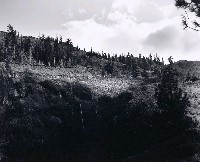 藏品(「覓金山鴻爪」系列-中國牆)的圖片