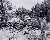 藏品(「覓金山鴻爪」系列-北內華達州華工帳蓬骨架遺跡)的圖片