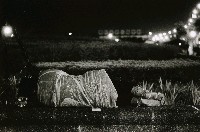 藏品(「家非家」系列-NO.04)的圖片