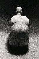 藏品(「肉身與魂魄」系列-8)的圖片