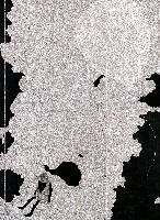 藏品(DIZZY THEATER-Nothing’s Happening)的圖片