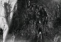 藏品(未來的未來)的圖片