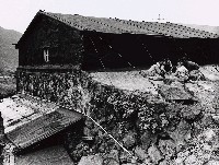 藏品(山城九份系列-玩伴)的圖片