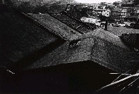 藏品(山城九份系列-不速之客)的圖片