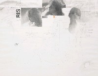 藏品(女人系列No7)的圖片