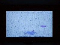 藏品(還在這裡)的圖片