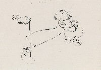 藏品(起步素描93)的圖片