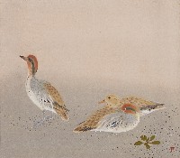 藏品(野鴨圖)的圖片