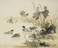 藏品(秋塘水鴨)的圖片