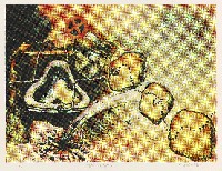 藏品(骯髒、渾濁、清淨Ⅱ)的圖片