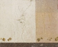 藏品(無題)的圖片