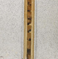 藏品(宮之牆(二))的圖片