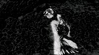 藏品(生之夢)的圖片