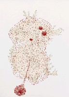 藏品(紅瘡)的圖片