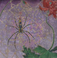 藏品(奧拉克尼蛛)的圖片