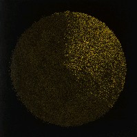 藏品(種植150373)的圖片