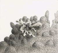 藏品(初次起飛)的圖片