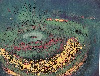 藏品(Life is only on Earth, and not for Long)的圖片