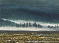 藏品(霧之晨)的圖片