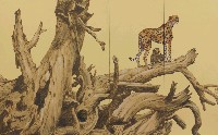 藏品(非洲獵豹)的圖片