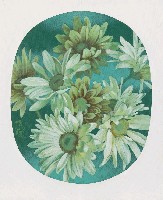 藏品(菊花)的圖片