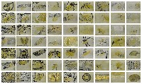 藏品(形象磁場No.3)的圖片