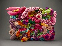 藏品(在向限之間)的圖片