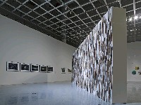 藏品(微弱的美感)的圖片