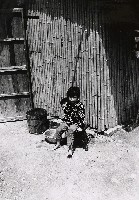 藏品(台北郊區)的圖片