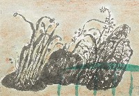 藏品(陽台上)的圖片