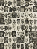 藏品(一百張臉（台灣）)的圖片