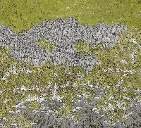 藏品(荒城丘)的圖片