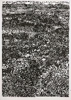 藏品(等候降雨)的圖片