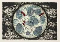 藏品(渺小)的圖片