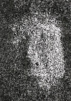 藏品(另一個自我之四)的圖片