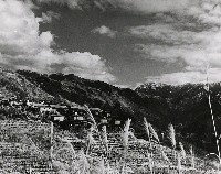 藏品(高山古情-松崗之秋)的圖片