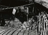 藏品(高山古情-農閒的後院)的圖片