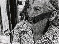 藏品(高山古情-高山人何去何從（沙拉茅）)的圖片