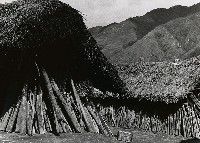 藏品(高山古情-佳陽部落)的圖片