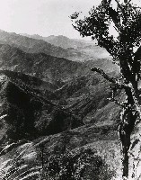 藏品(高山古情-陵線錯蹤的群山皆禿山)的圖片