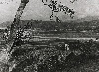 藏品(淡河漣漪-石門水庫壩基的原貌)的圖片