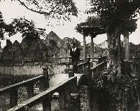 藏品(淡河漣漪-林家花園)的圖片