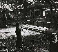 藏品(淡河漣漪-林家花園)的圖片